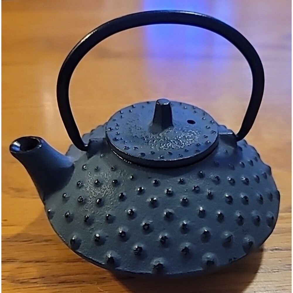 Iwachu Nambu Cast Iron Tea Pot Atsukan Warming Arare Matte Green Black Japan